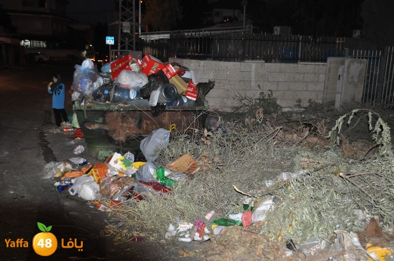 trash lud 907 (19).JPG